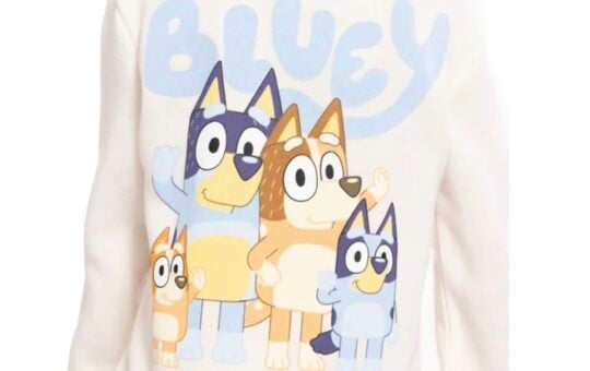 bluey sweatshirt