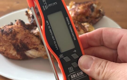 bridgett meat thermometer