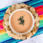 cheree's cheese dip (3)