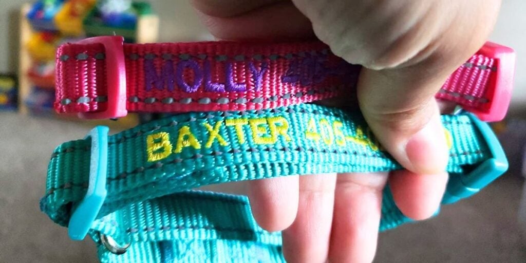 hand holding custom dog collars