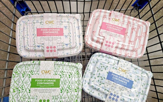 cwc pretty containers (1)