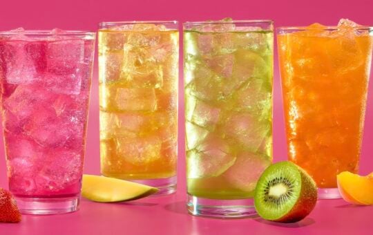 dunkin refreshers to go sticks