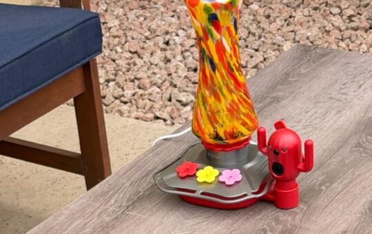 hummingbird feeder