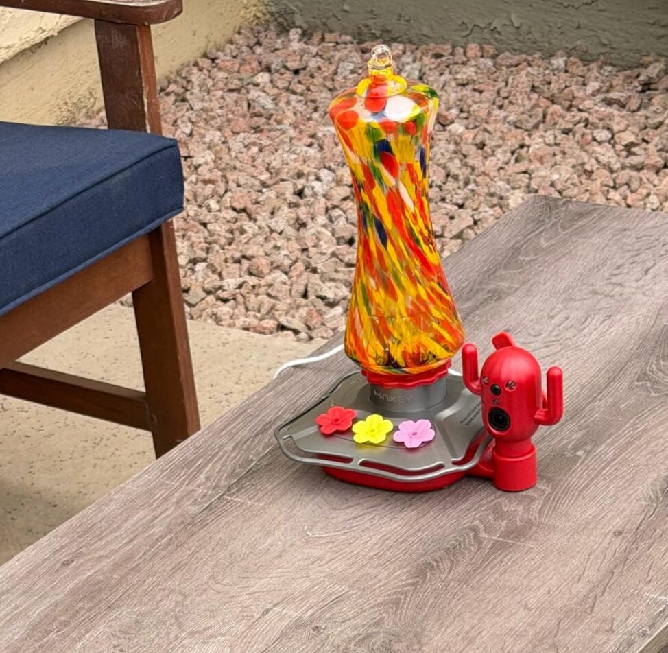 hummingbird feeder