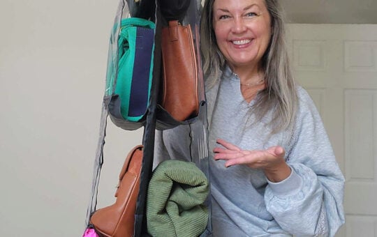 jamie purse organizer