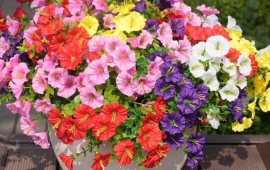 maxkes Artificial Flowers