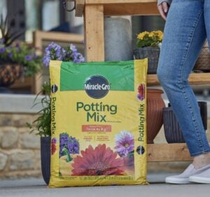 miracle gro potting mix 25 dry quart