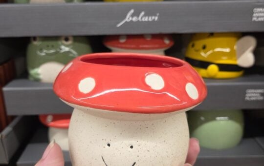 mushroom planter