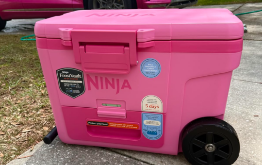 ninja pink cooler