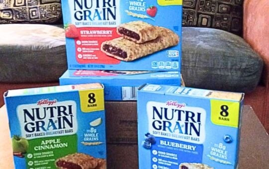 nutrigrain bars (2)