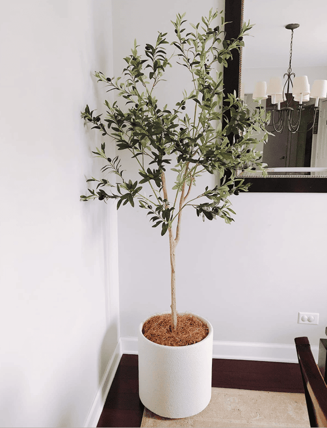 olive tree dining room