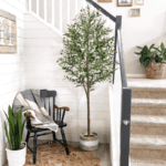 olive tree in basket