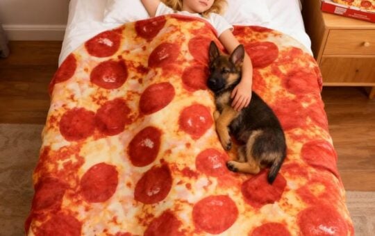 pepperoni pizza throw blanket (1)