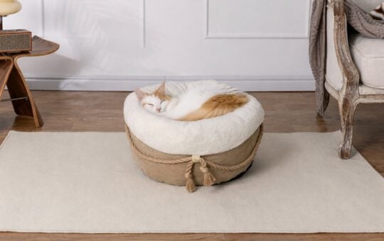 pesen Cat Bed & Small Dog Bed