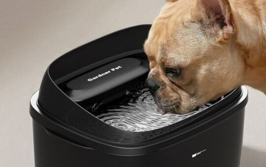 pet water fountain (2)