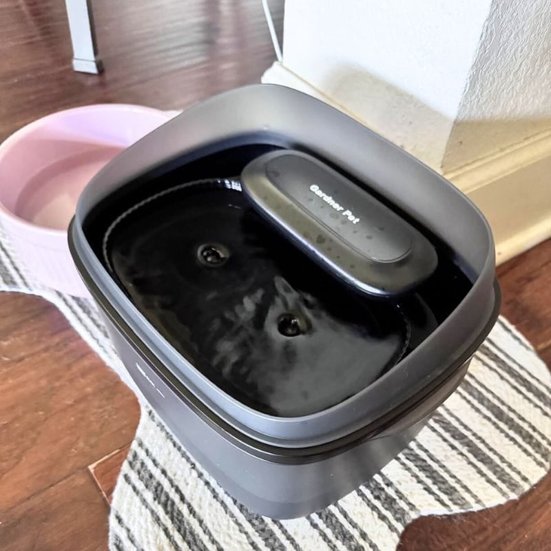 pet water fountain