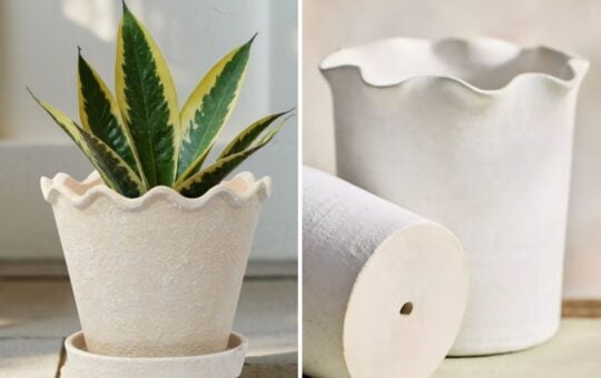 pie crust planter dupe