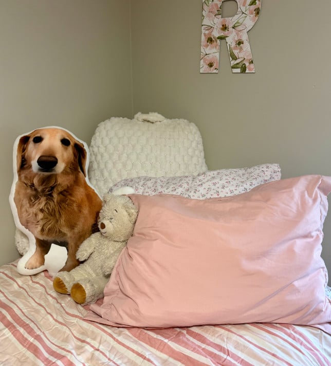 reagans dog pillow reagans dog pillow