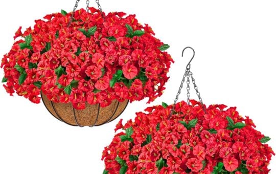 red hanging baskets