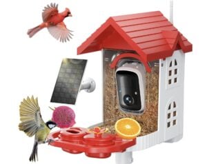 smart bird feeder