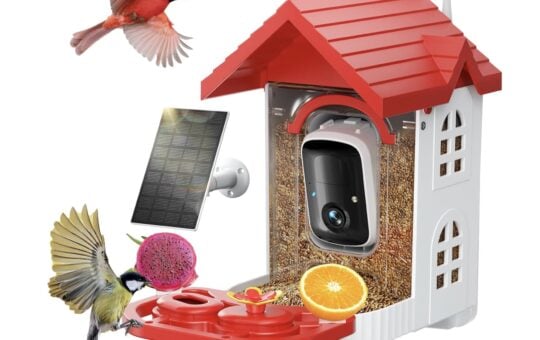 smart bird feeder