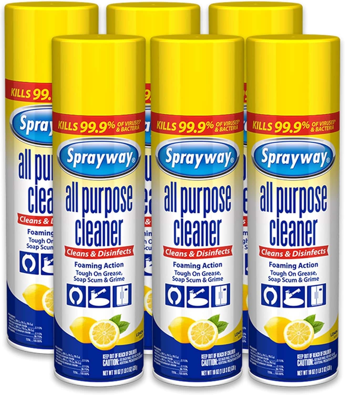 sprayway all purpose