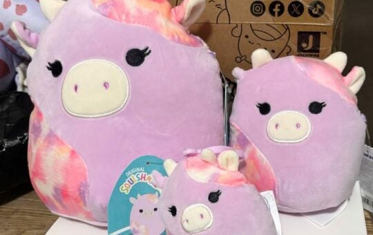 squishmallows (5)