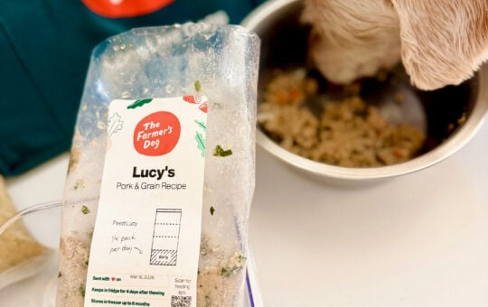 the farmers dog food