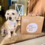 the farmers dog porch