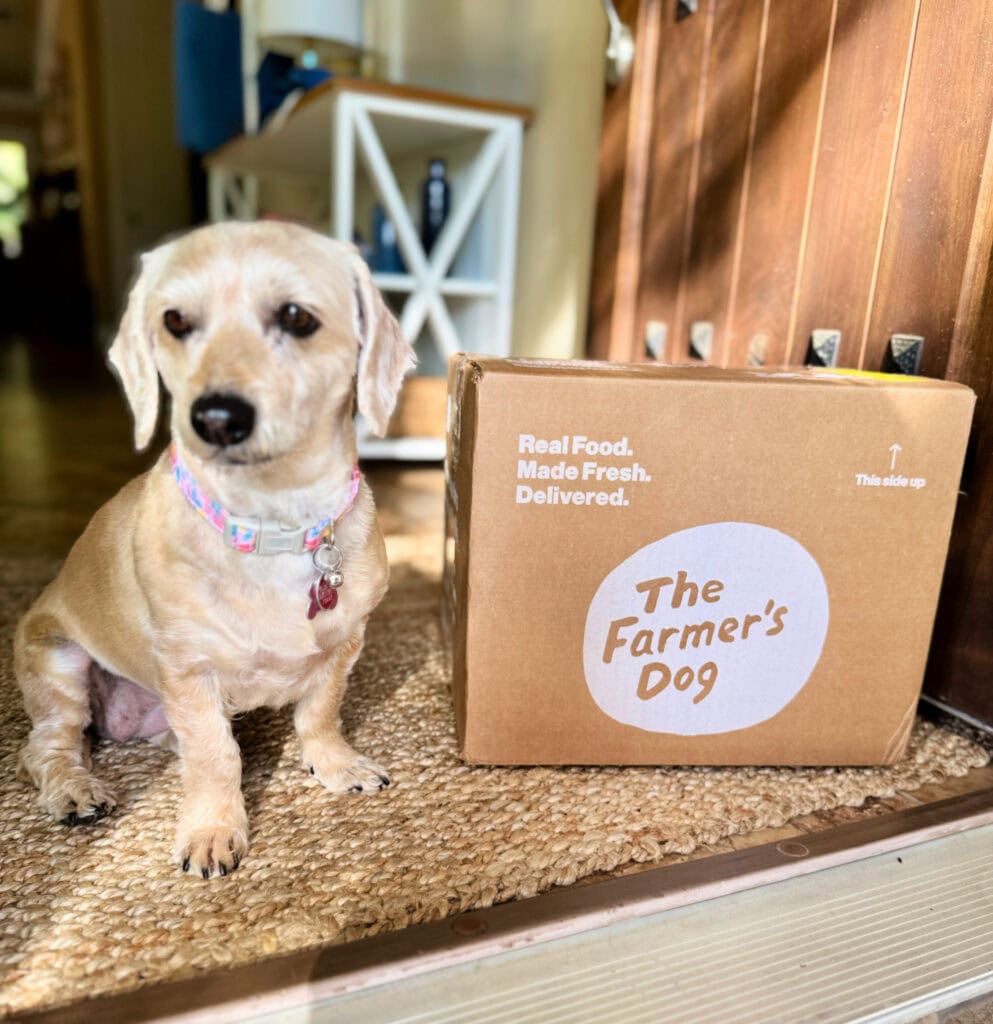 the farmers dog porch