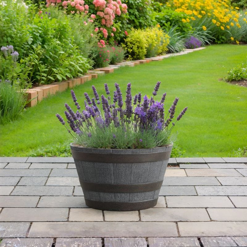 whiskey barrel planter 