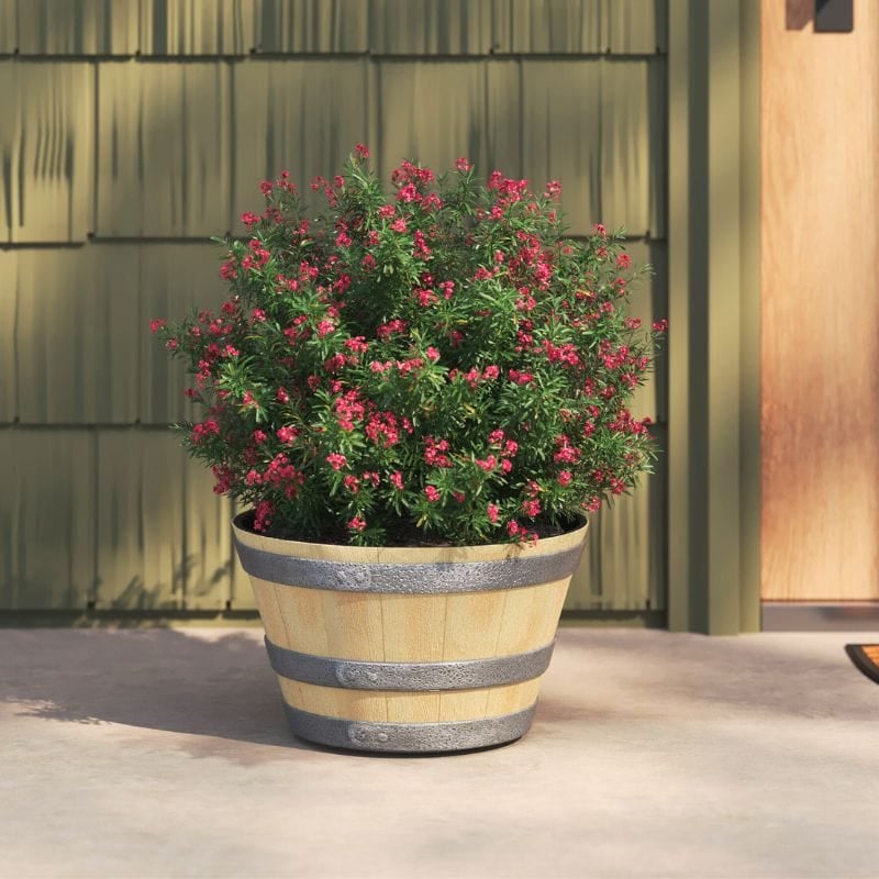 whiskey barrel planter