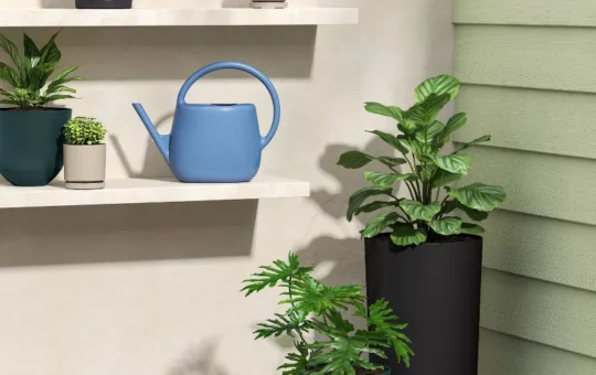 1gal Plastic Watering Can