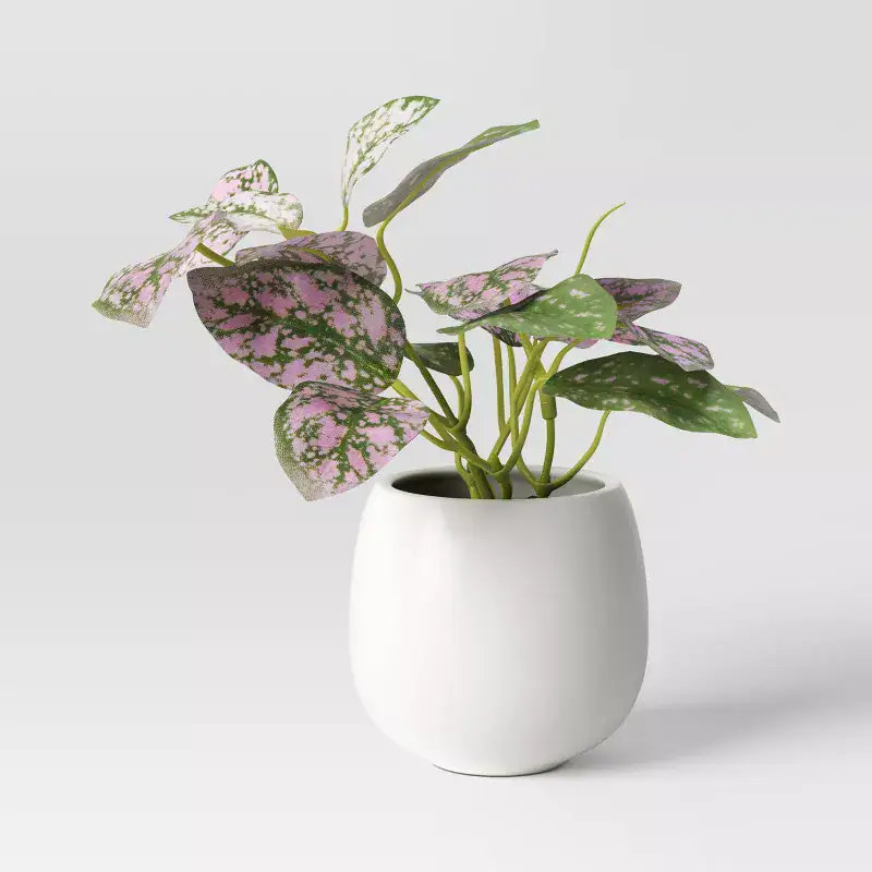 6 Mini Artificial Polka Dot Plant Threshold