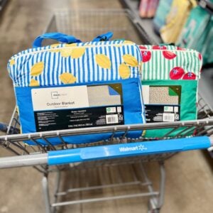 Mainstays Beach Blanket