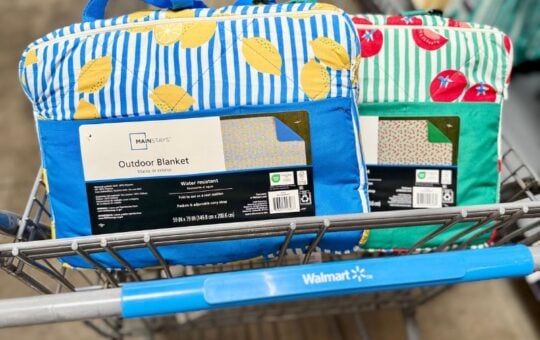 Mainstays Beach Blanket