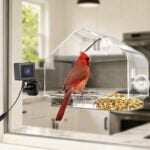 RichBird Smart Window Bird Feeder