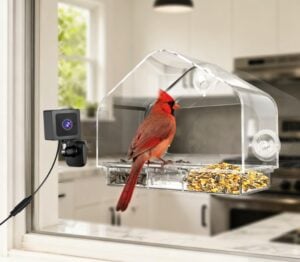 RichBird Smart Window Bird Feeder