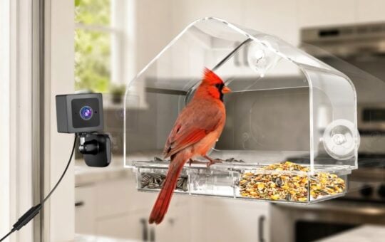 RichBird Smart Window Bird Feeder