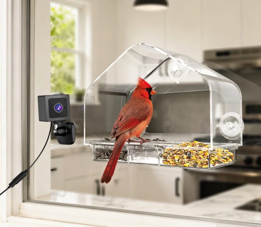RichBird Smart Window Bird Feeder RichBird Smart Window Bird Feeder