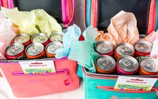 Teacher Appreciation Cooler 16