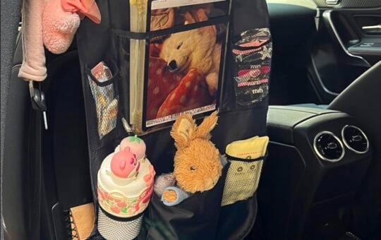 Zntezed Car Backseat Organizer