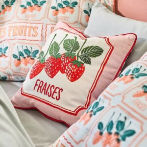 anthro pillows