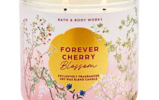 bath body works candle (2)