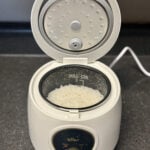 bear rice cooker