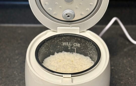 bear rice cooker