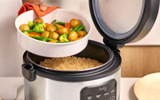 bella rice cooker (1)