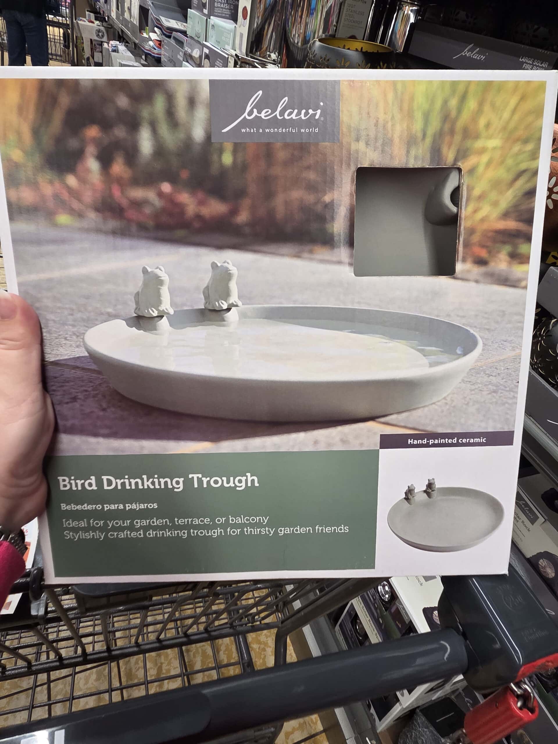 bird drinking