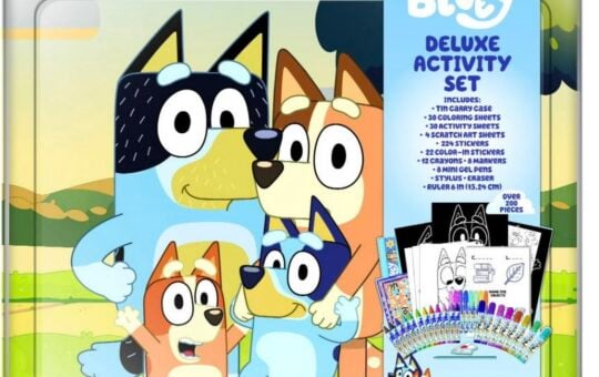 bluey deluxe activity set