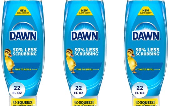 dawn ez squeez
